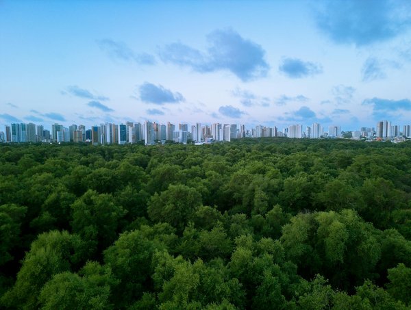 Les dernières avancées dans la chirurgie de la cataracte : rétablir la vue avec précision